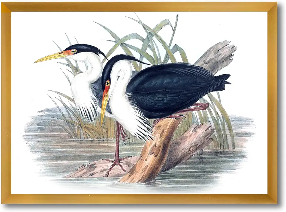 Vintage Bird Life II Traditional Framed Wall Art