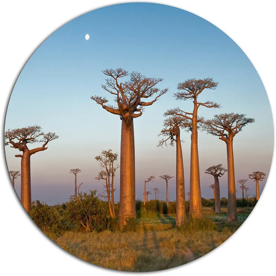 Designart MT12897-C23 Wall Art-Disc of 23 inch, 23X23-Disc, Blue