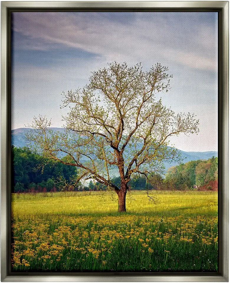 Stupell Industries Lone Tree Wildflower Meadow Framed Floater Canvas Wall Art, Design by Rick Berk