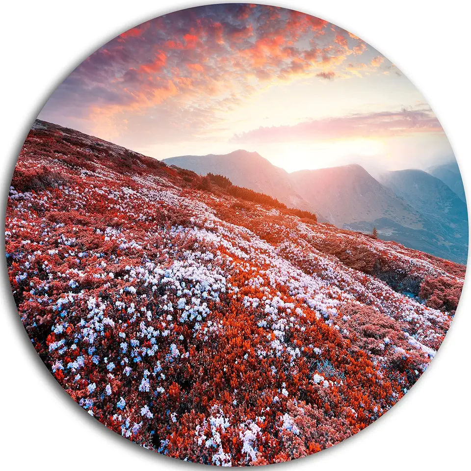 Designart Blooming Fields in Carpathian-Landscape Photo Round Wall Art-Disc of 23, 23'' H x 23'' W x 1'' D 1P, Red