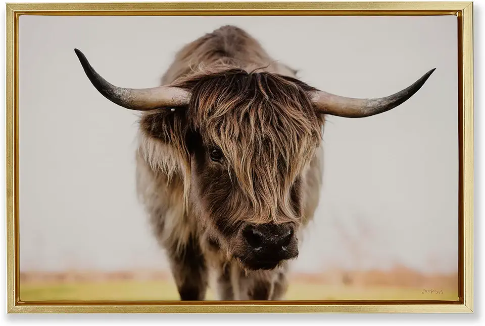 Stupell Industries Longhorn with Piercing Gaze Gold Framed Floater Canvas Wall Art Design by Dakota Diener, 25 x 17