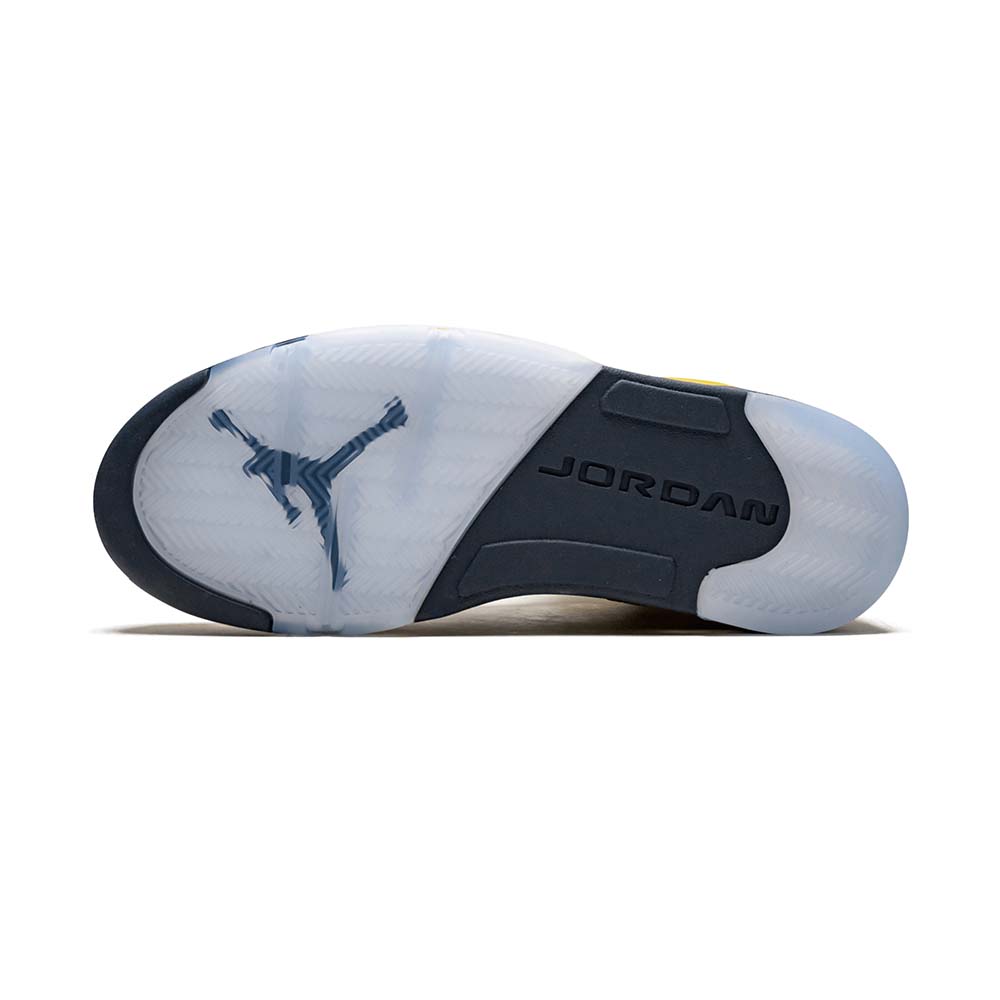 Jordan Air Jordan 5 Retro SE