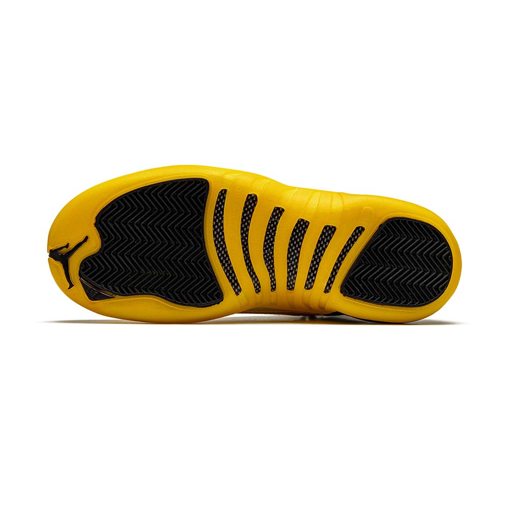 AIR JORDAN 12 RETRO GS