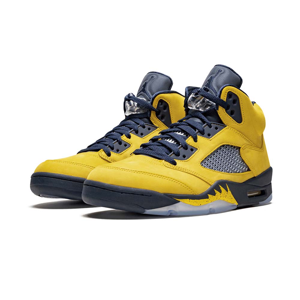Jordan Air Jordan 5 Retro SE