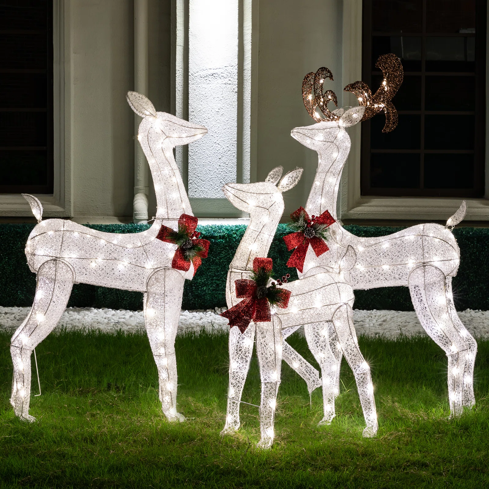 Christmas Deer Lighted Display 3 Piece Set