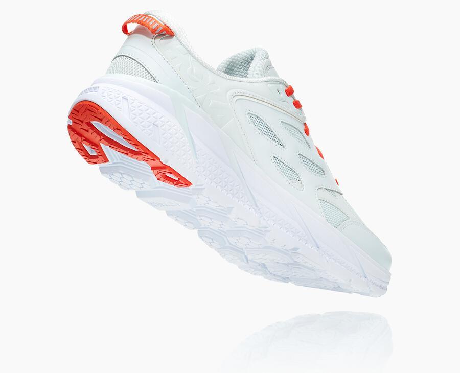 All Gender Clifton L