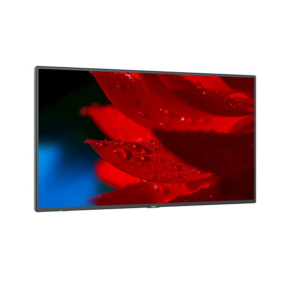 NEC Display 49