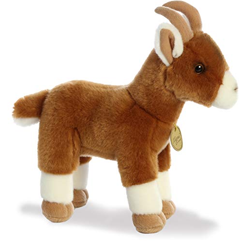 Aurora - Miyoni - 11