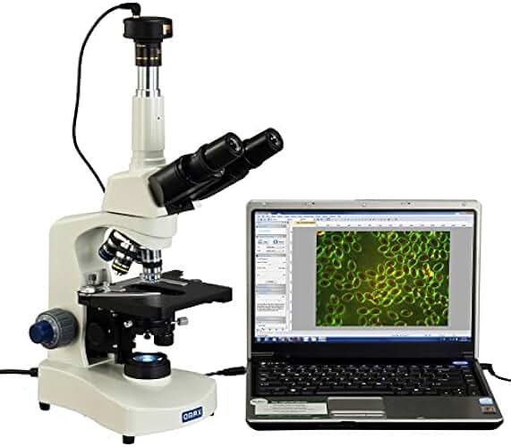 40X-2000X LED Darkfield Trinocular Compound Microscope with 30 Degree ...