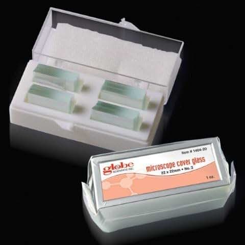 Globe Scientific 1321 Glass Microscope Slides - 25x75mm With Ground Edges (Case Of 1440)