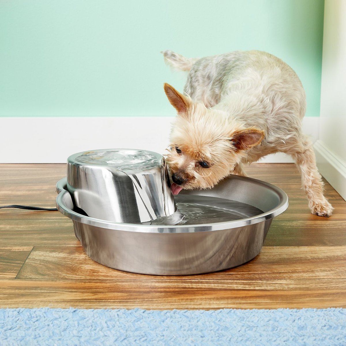 Pioneer Pet Big Max Style Stainless Steel Dog & Cat Fountain, 128-oz