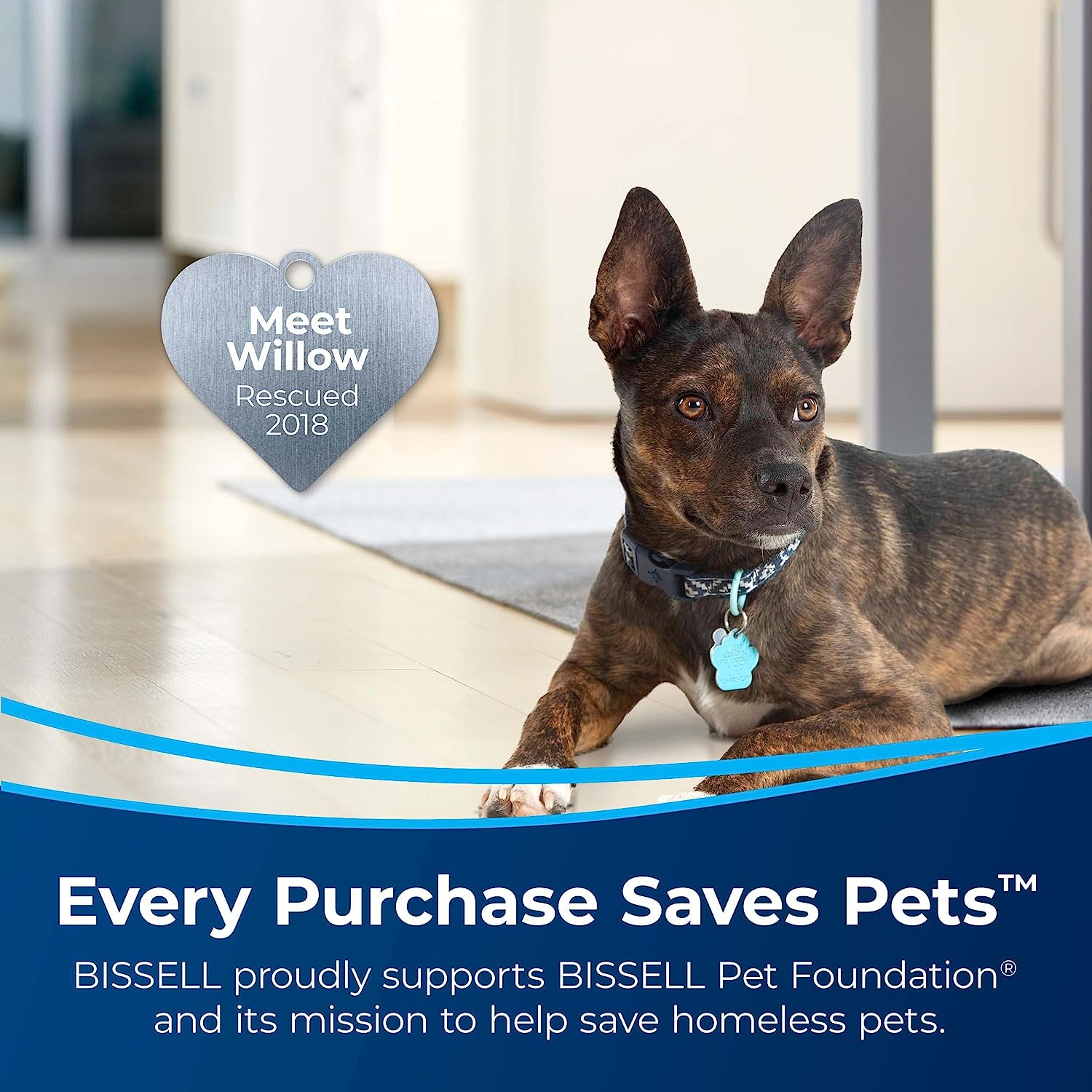 Bissell Little Green Pet Deluxe Portable Carpet Cleaner, 3353, Large, Gray/Blue