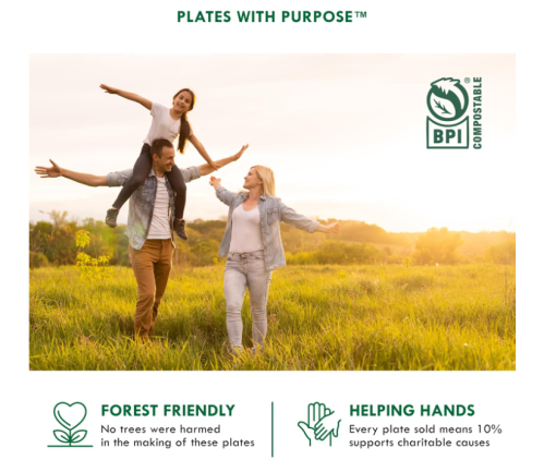 100 compostable paper plates heavy duty disposable plates 125 pack 9 inch plates eco friendly biodegradable sugarcane bagasse natural unbleached brown 9 dinner paper plate disposable