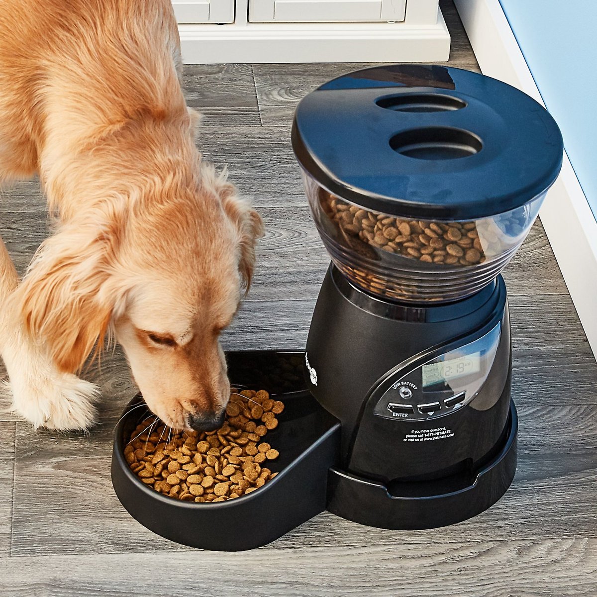 Aspen Pet LeBistro Portion Control Programmable Dog & Cat Feeder, 18-cup