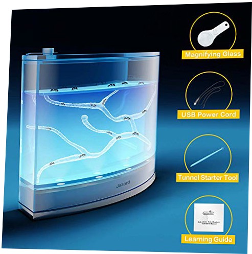 Ant Habitats For Kids Ant Farm For Boys With Blue Nutrient Gel Watch