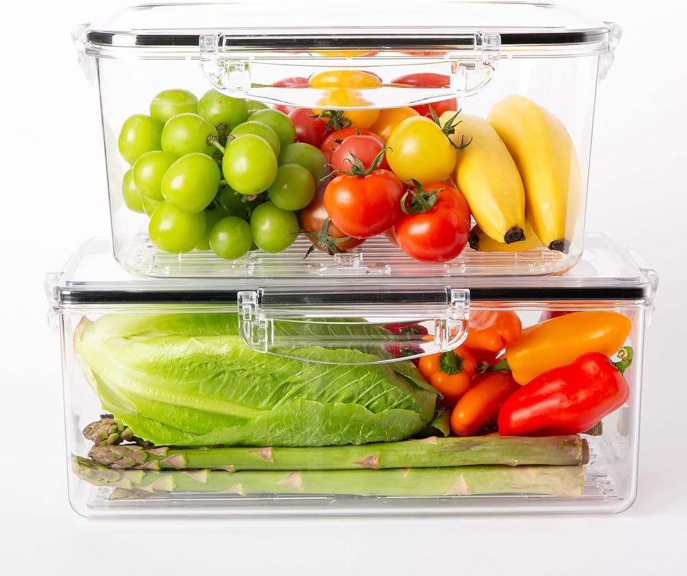 gotman Airtight Food Storage Containers Set,Special 2pack(2 Containers ...