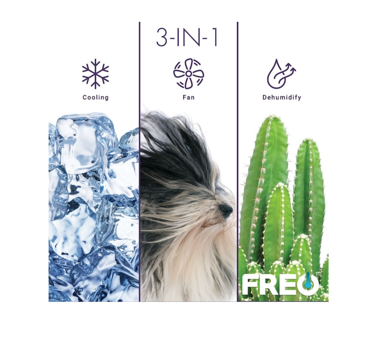 Freo FHCW081ABE 350-sq ft Window Air Conditioner (115-Volt; 8000-BTU) ENERGY STAR