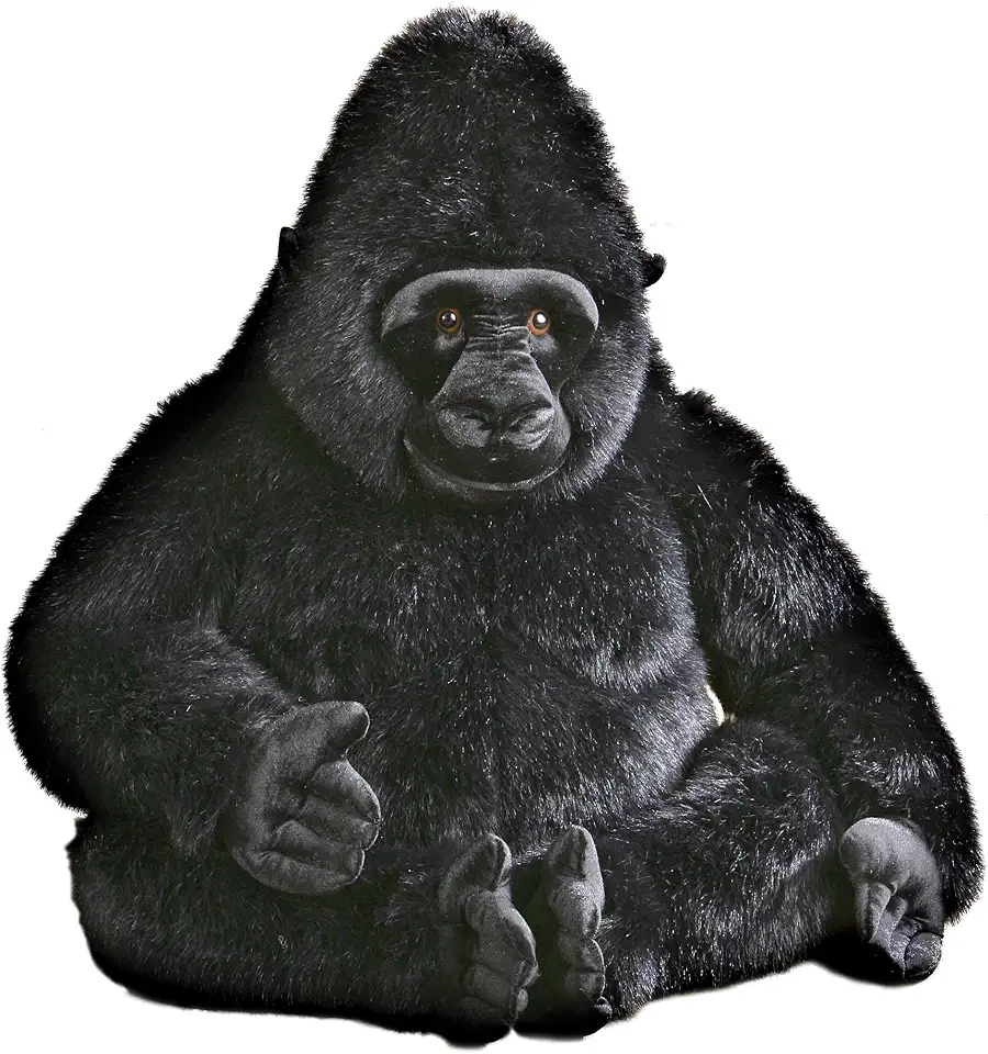 Aurora - Miyoni - 45