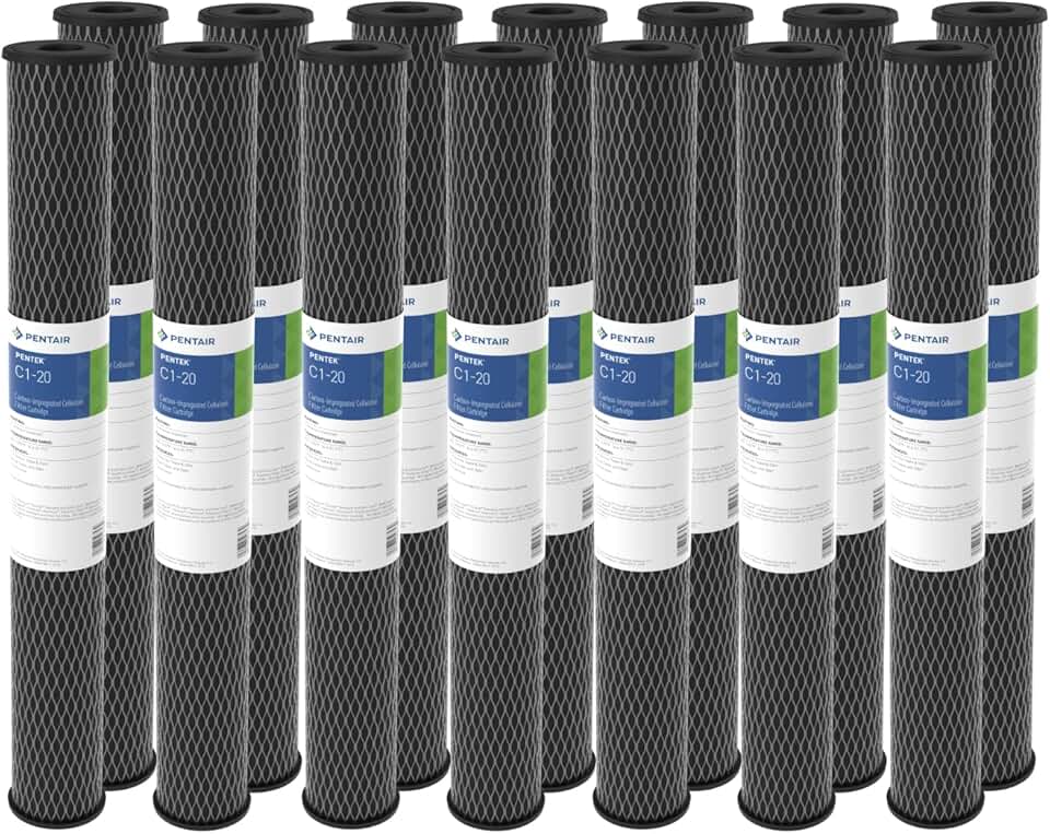 Pentair Pentek C1-20 Carbon Water Filter, 20-Inch, Whole House Dual Purpose Powdered Activated Carbon-Impregnated Cellulose Replacement Cartridge, 20
