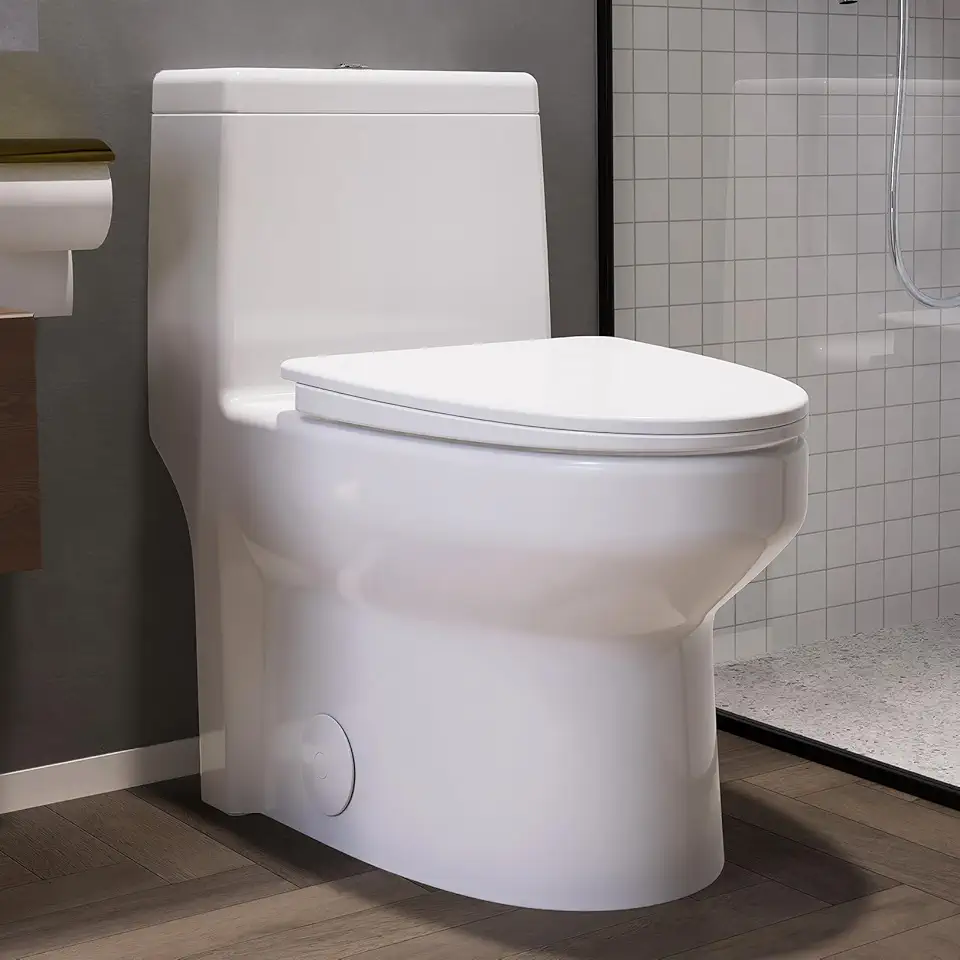 Elongated One Piece Toilet, 12
