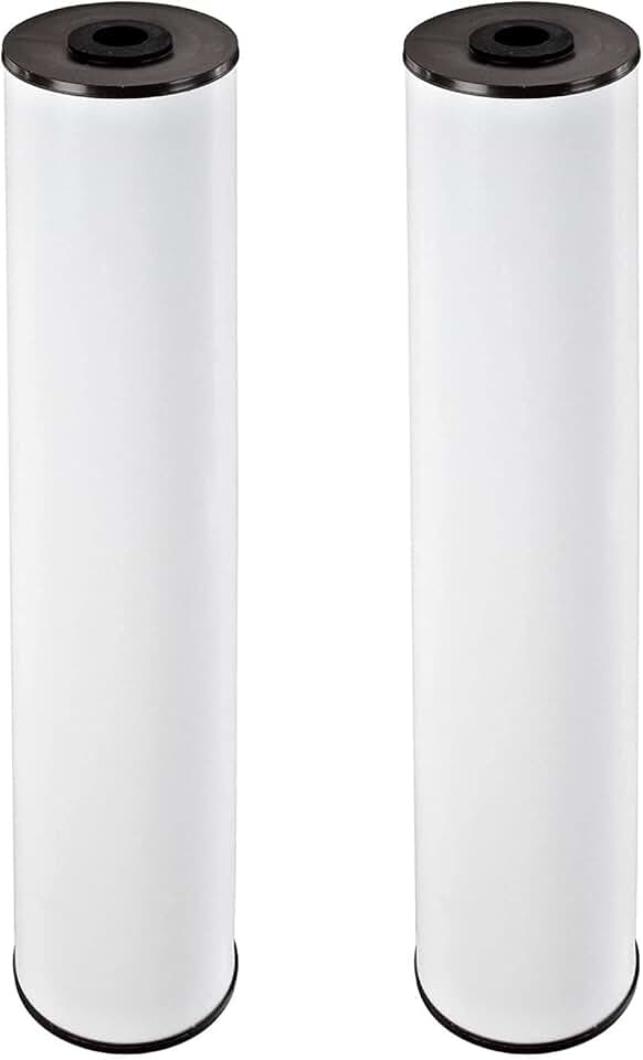 Pentair Pentek RFFE20-BB Big Blue Water Filter, 20-Inch, Whole House Radial Flow Iron Reduction Replacement Cartridge, 20