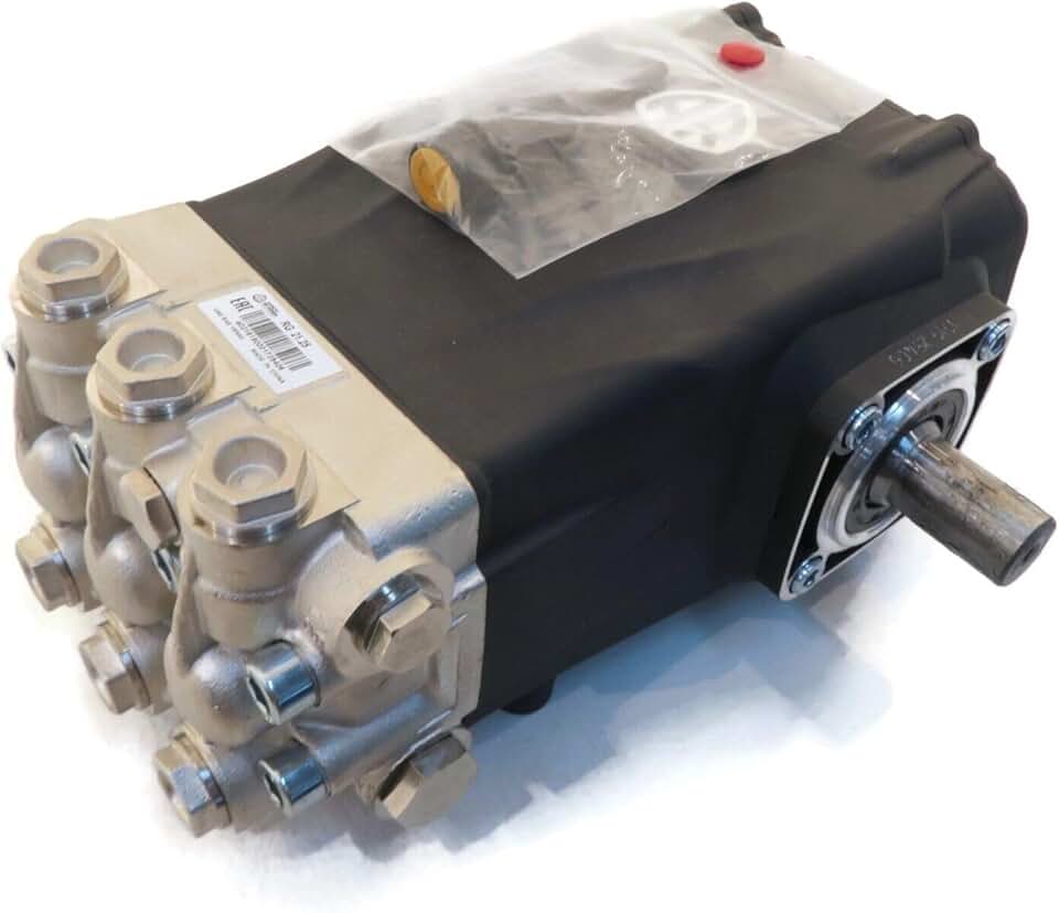 Genuine OEM Annovi Reverberi Horizontal Pump for Pressure Washer for Interpump WS202 Solid Shaft