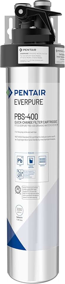 Pentair Everpure PBS-400 Drinking Water System, EV927085, Ideal for use in Prep Sink and Wet Bar, Includes Filter Head, Filter Cartridge, All Hardware and Connectors, Silver