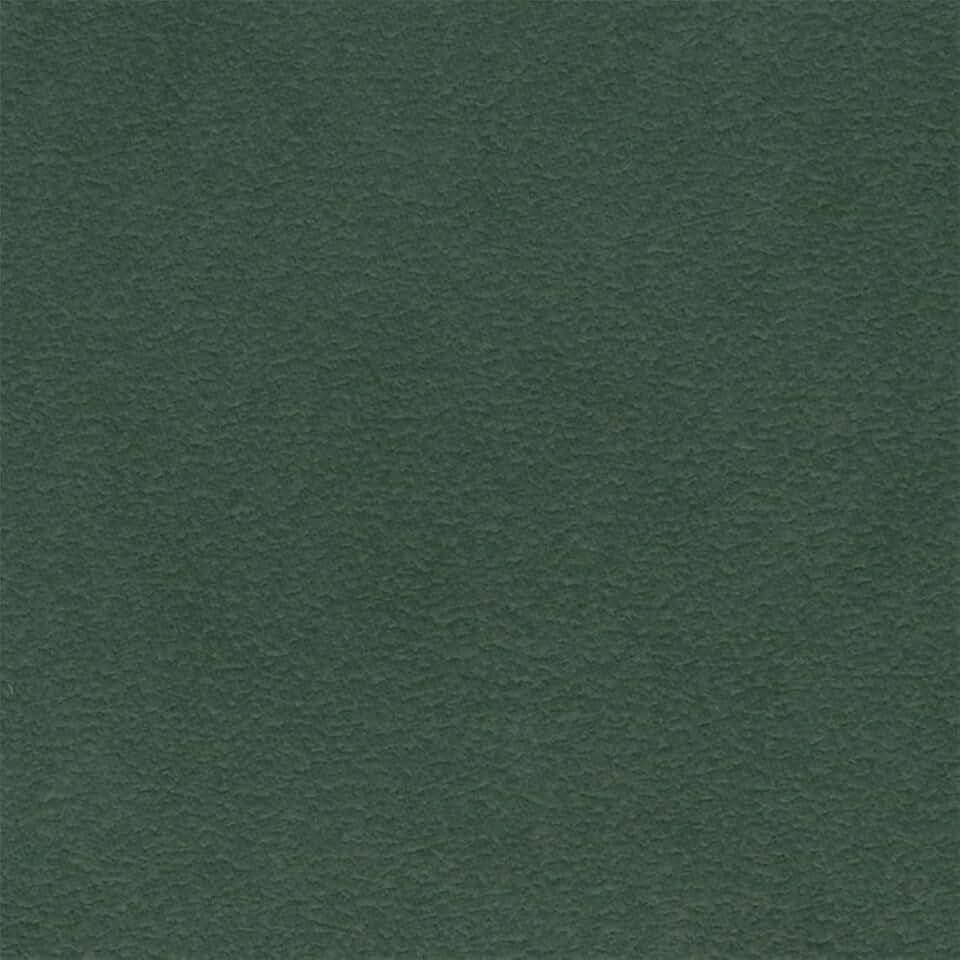 Liz Jordan-Hill Green Luxury Microsuede Upholstery Fabric by The Yard, Pet-Friendly Water Cleanable Stain Resistant Aquaclean Material for Furniture and DIY, AC Daytona Mallard 156 (10 Yards)
