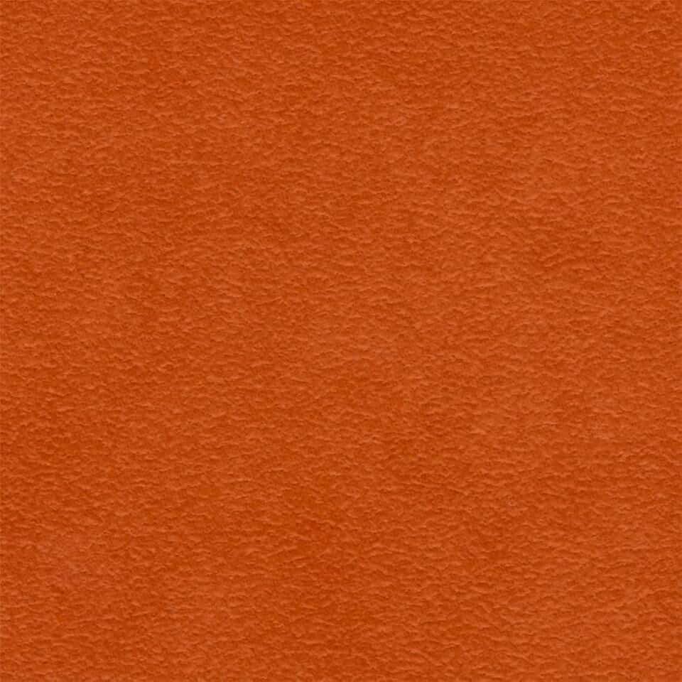 Liz Jordan-Hill Orange Luxury Microsuede Upholstery Fabric by The Yard, Pet-Friendly Water Cleanable Stain Resistant Aquaclean Material for Furniture and DIY, AC Daytona Monarch 142 (10 Yards)