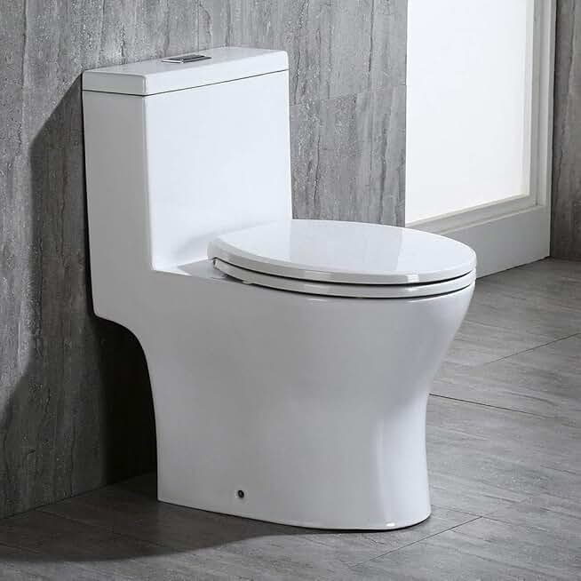 WOODBRIDGEE Modern Elongated One piece Toilet Dual flush 1.0/1.6 GPF,with Soft Closing Seat,1000 Gram MaP Flushing Score,white,T-0032