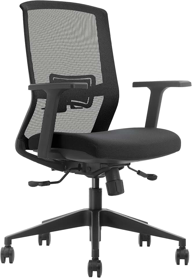 Ergonomic Home & Office Chair with High Back for Desk, Adjustable Lumbar Support, Comfortable with Backrest Tilt Function Water Resistant Seat Fabric and Soft PU 3D Armrests (C1, Black)