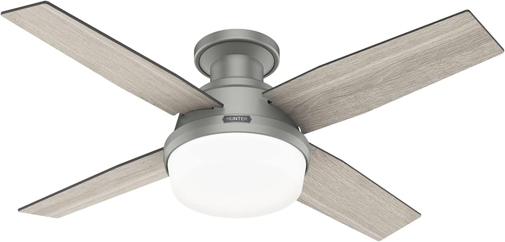 Fan Company 51757 Dempsey Ceiling Fan, 44, Silver