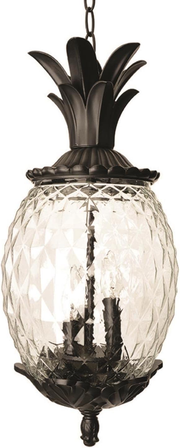 7516BK Lanai Collection 3-Light Outdoor Light Fixture Hanging Lantern, Matte Black