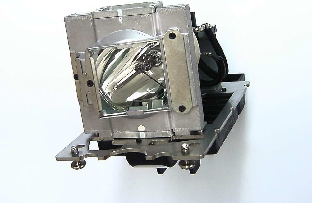 OEM 113-628C Lamp & Housing for The Digital Projection Projectors with Philips Bulb Inside - 240 Day Warranty