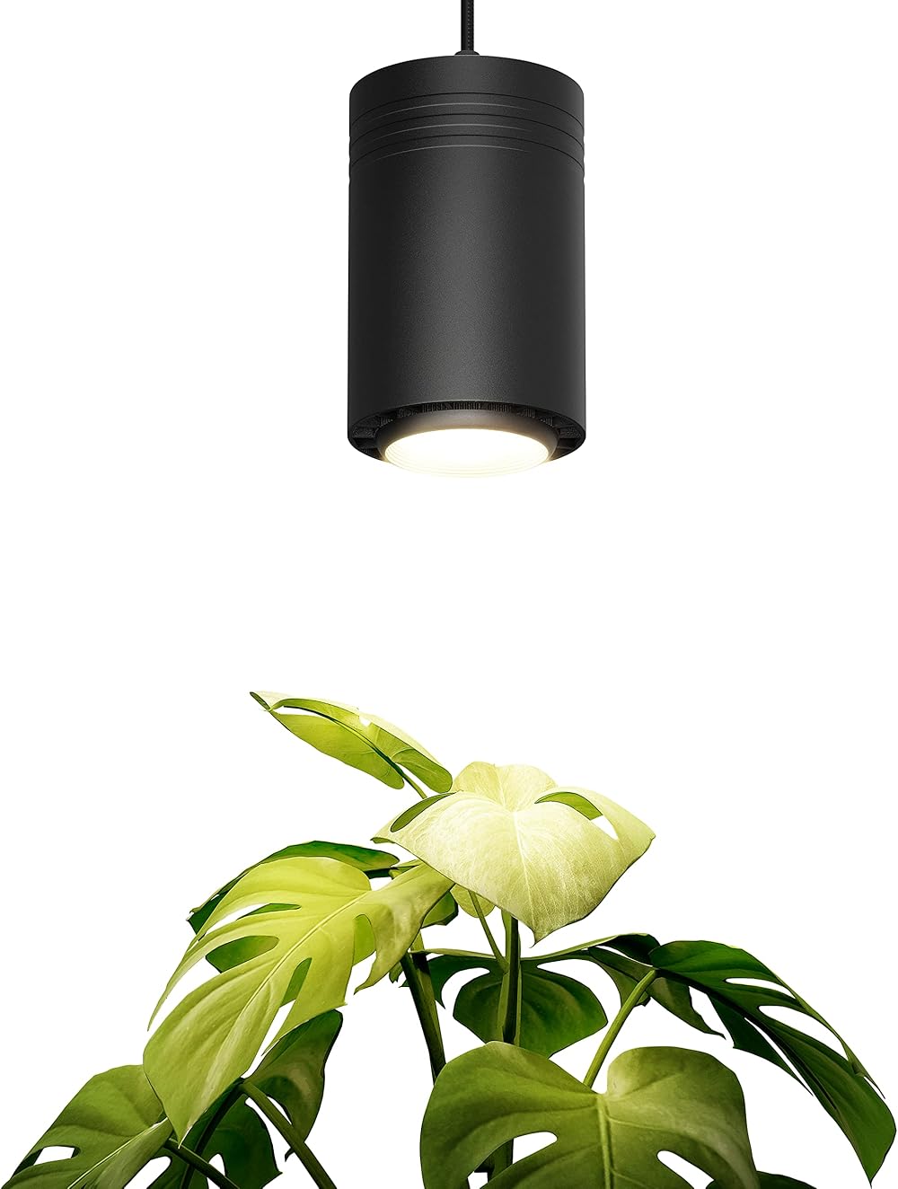 Aspect WORLD'S FIRST Decor Grow Light - Large Black Luxury LED Grow Light – for Medium and Large Plants New Large