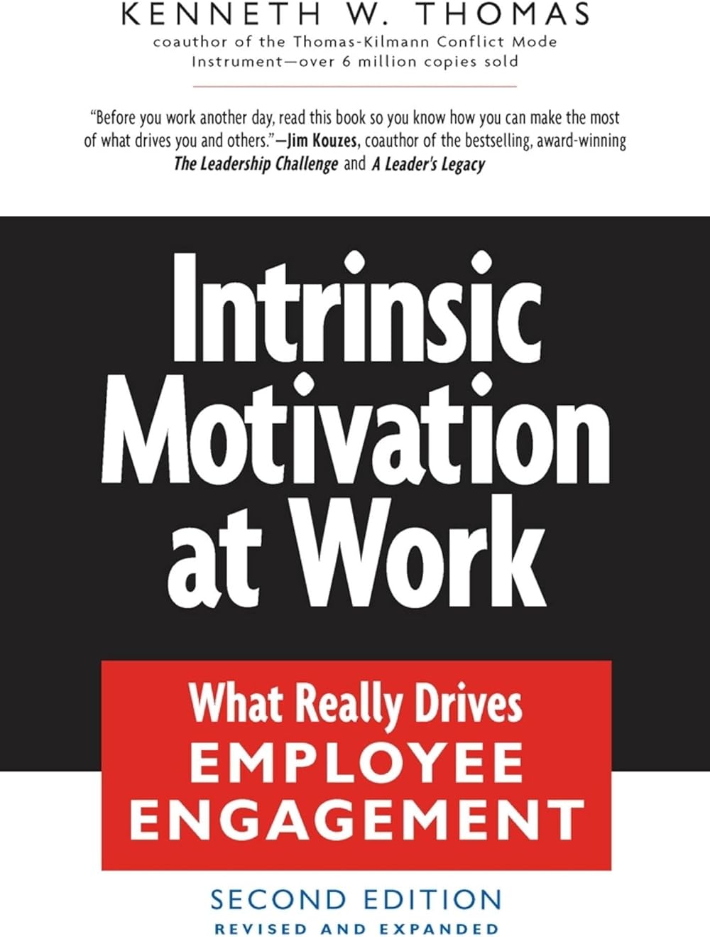 Intrinsic Motivation at Work: Building Energy and Commitment