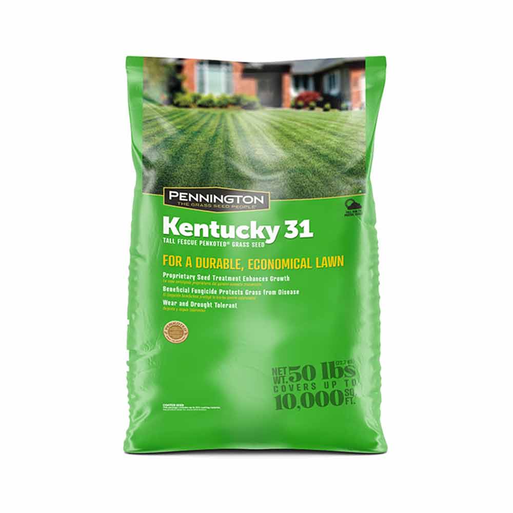 Pennington Kentucky 31 Tall Fescue Penkoted Grass Seed 50lb