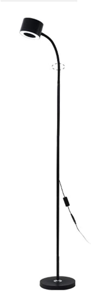 Corner Floor lamp LED Light Source Floor Lamp Acrylic Soft Light Mask Thick Support Base Button Switch Operation for Home/Office (Color : Black, Size : Touch Switch+dimming)