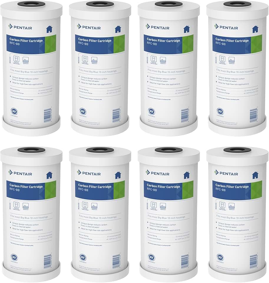 Pentair Pentek RFC-BB Big Blue Carbon Water Filter, 10-Inch, Whole House Heavy Duty Radial Flow Carbon Replacement Cartridge with Granular Activated Carbon (GAC), 10