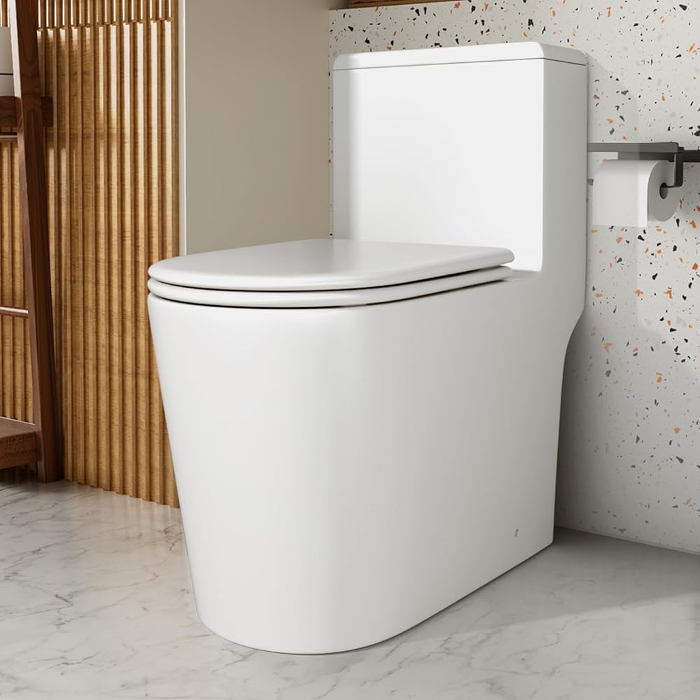 Dual Flush Elongated Standard One Piece Toilet with Comfortable Seat Height, Powerful & Quiet Dual Flush Modern Toilet, 12'' Rough-In, Glossy White，6651