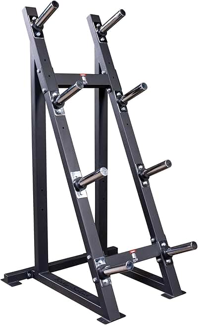 Body-Solid (GWT76) High Capacity Olympic Plate Rack - Modular Bumper & Traditional Weight Storage, Durable Steel Weight Horns, Space-Saving Wall Rest Design