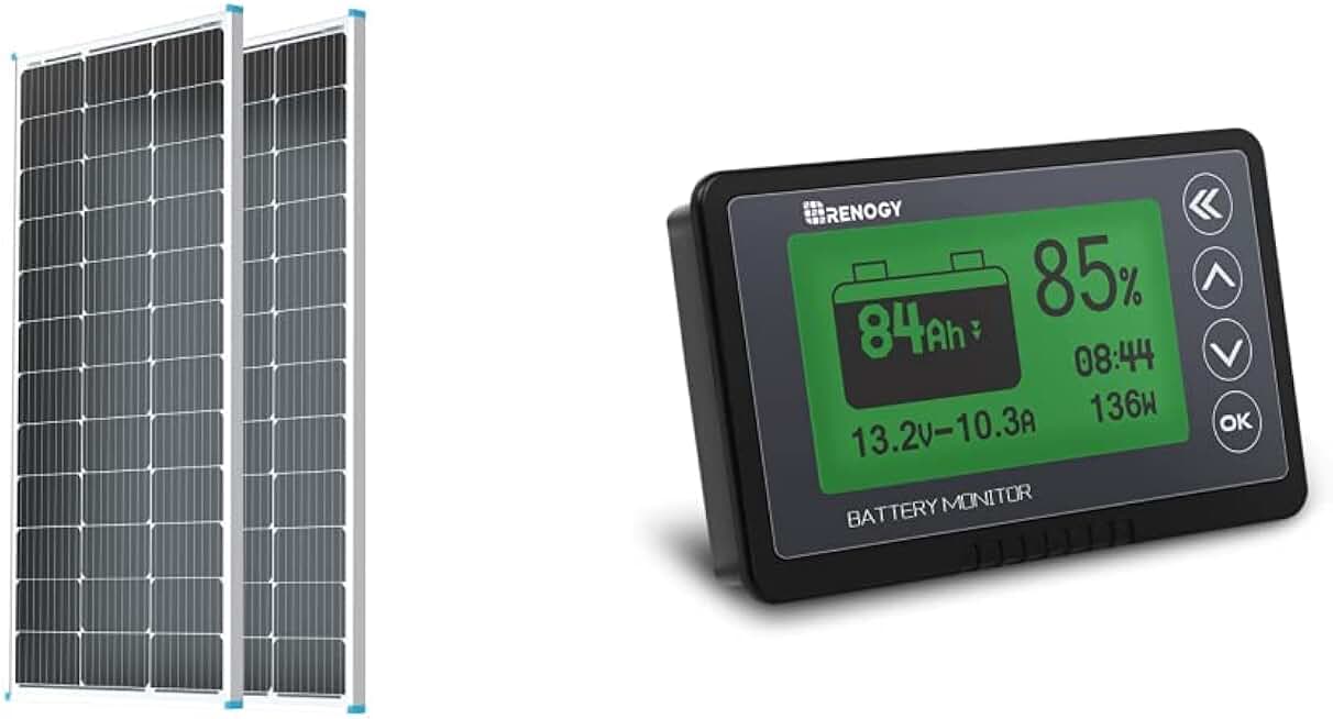 Renogy 2PCS Solar Panels 100 Watt 12 Volt High-Efficiency Monocrystalline + Renogy 500A Battery Monitor with Shunt, Compatible with 12V Lithium Sealed, Gel, Flooded Batteries