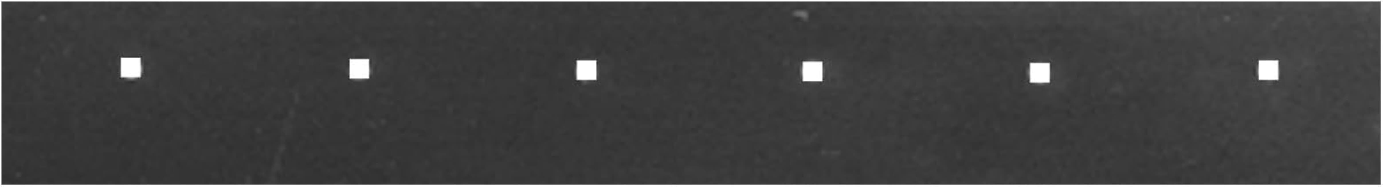 SAM Replacement Cutting Edge for Western Snow Plows - Replaces OEM Part Number 49350, Model Number 1301292