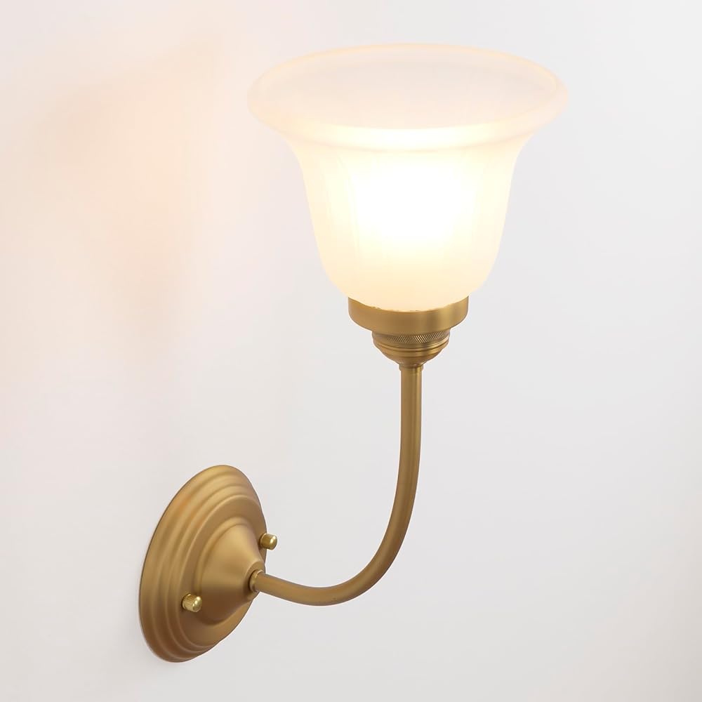 Vintage Indoor Gooseneck Wall Sconce Fixture for Hallway Living Room Bedroom Stairs Picture Side