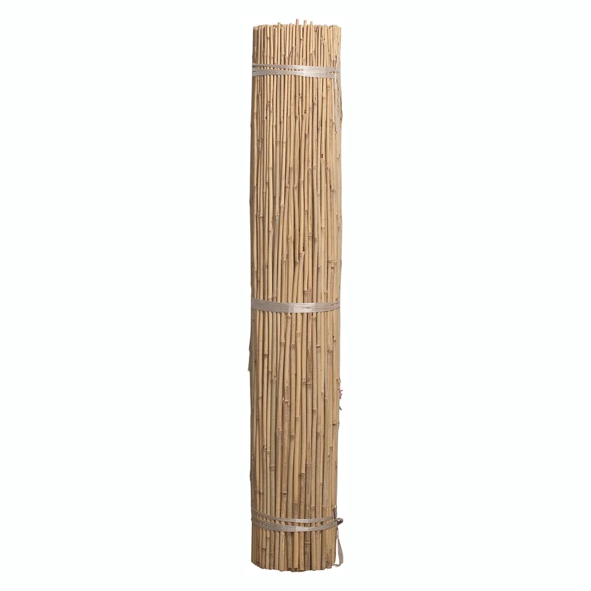 Bamboo Stakes, 5 ft. x 10-12 mm, Pkg. of 250