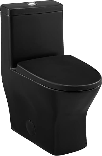 Sublime II One-Piece Round Toilet Dual-Flush 1.1/1.6 gpf in Matte Black