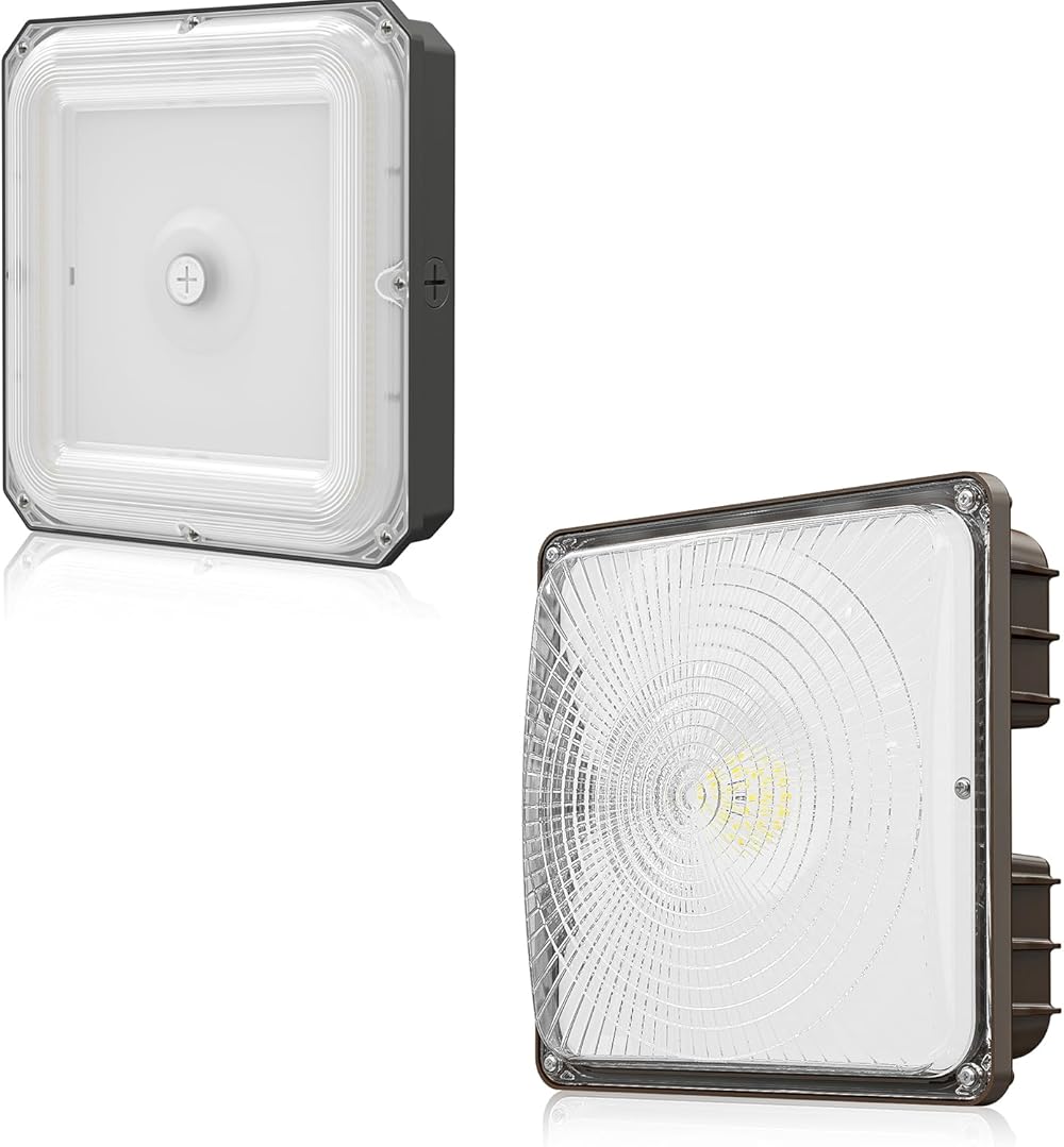 40W and 80W LED Canopy Lights Outdoor, IP65 Waterproof Commercial Canopy Lights Industrial Lighting for Gas Station Garage Warehouse Shop Hotel UL&DLC Listed 5000K Daylight 140LM/W