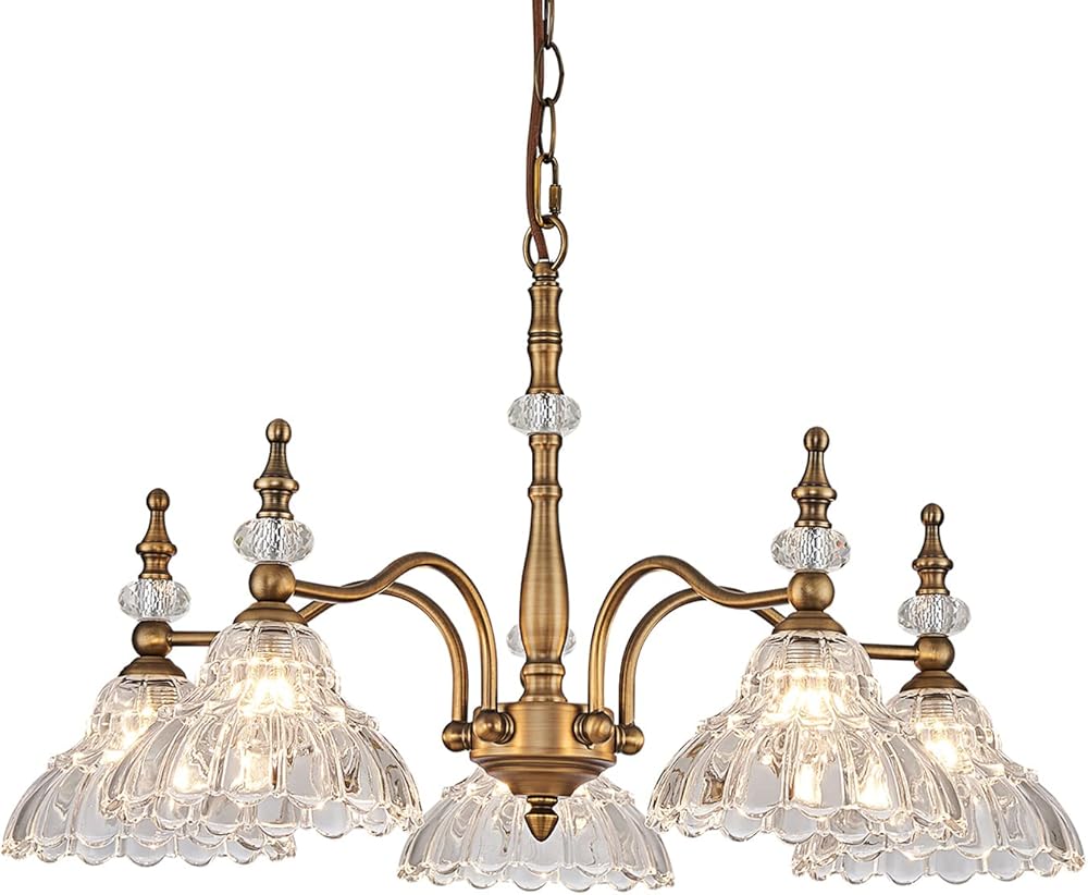 Chandeliers Light 5 Lights Chandelier Lamp Modern Pendant Light Fixtures Hanging Lamps for Dining Room Entryway Living Room Bedrooms Foyer Entrance Kitchen