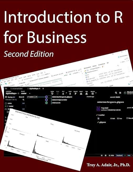 Introduction to R for Business (Intro to Data Science for Business Book 1)