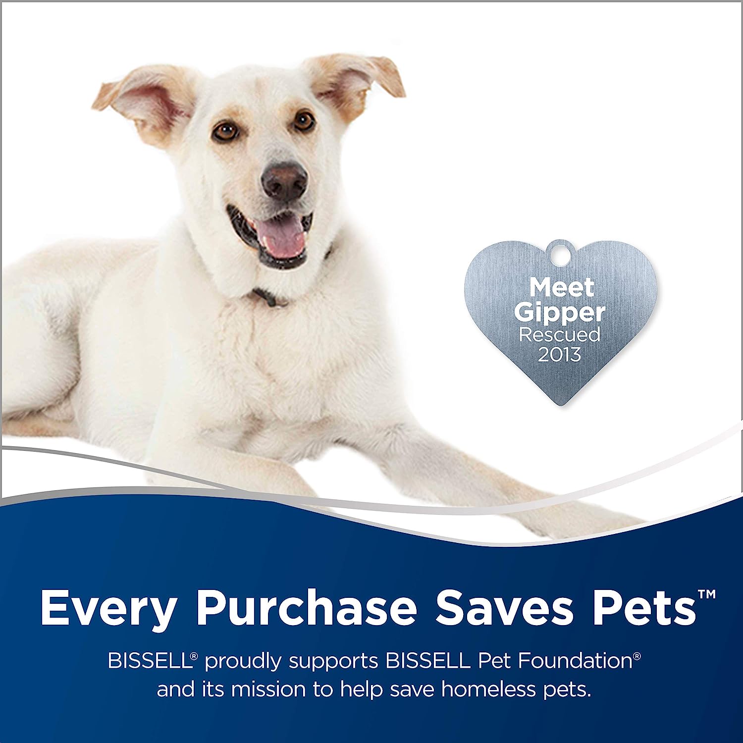 BISSELL Power Steamer Heavy Duty 3-in-1 Steam Mop and Handheld SteamShot, Black, 2685A